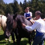 24. August Almabtrieb