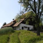 Das Bienenmuseum am Ritten